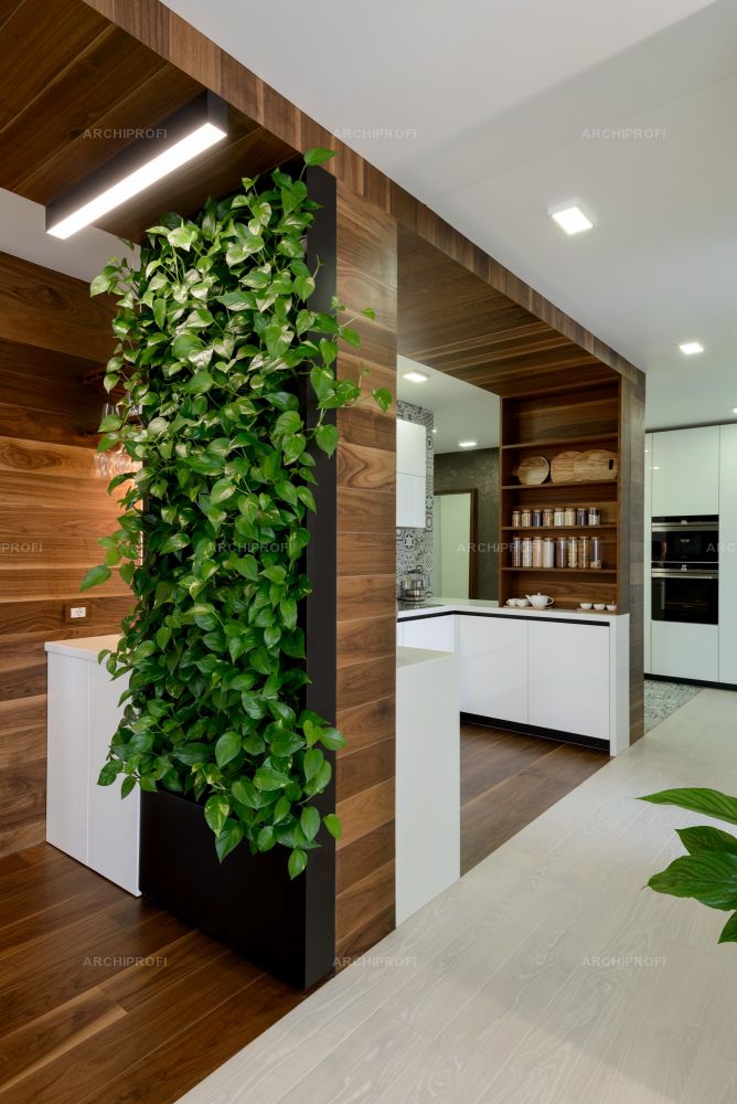 Какие комнатные растения выбрать для кухни