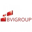 BVI Group