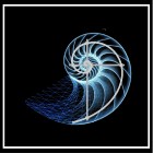 Дизайн бюро "Арт Хаус"