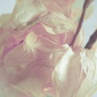 Агентство Историй Pictureton