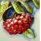 Веста-керамика