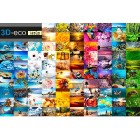 3D-ECO