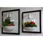 Настенные сады FLANDRISS