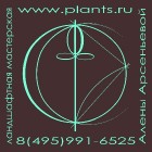 Ландшафтная мастерская Алены Арсеньевой