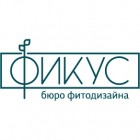 Бюро Фитодизайна Фикус