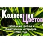 Коллекция цветов