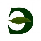 Студия фитодизайна "Эдельвейс"