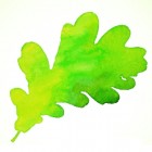 Lago Verde интернет-магазин современных МАФ