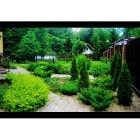 ООО "Цвентана"