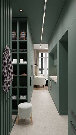 Компактная прихожая в современном стиле с доминирующим глубоким зелёным цветом