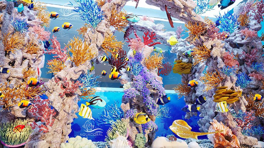 Вид на морской аквариум крупный план